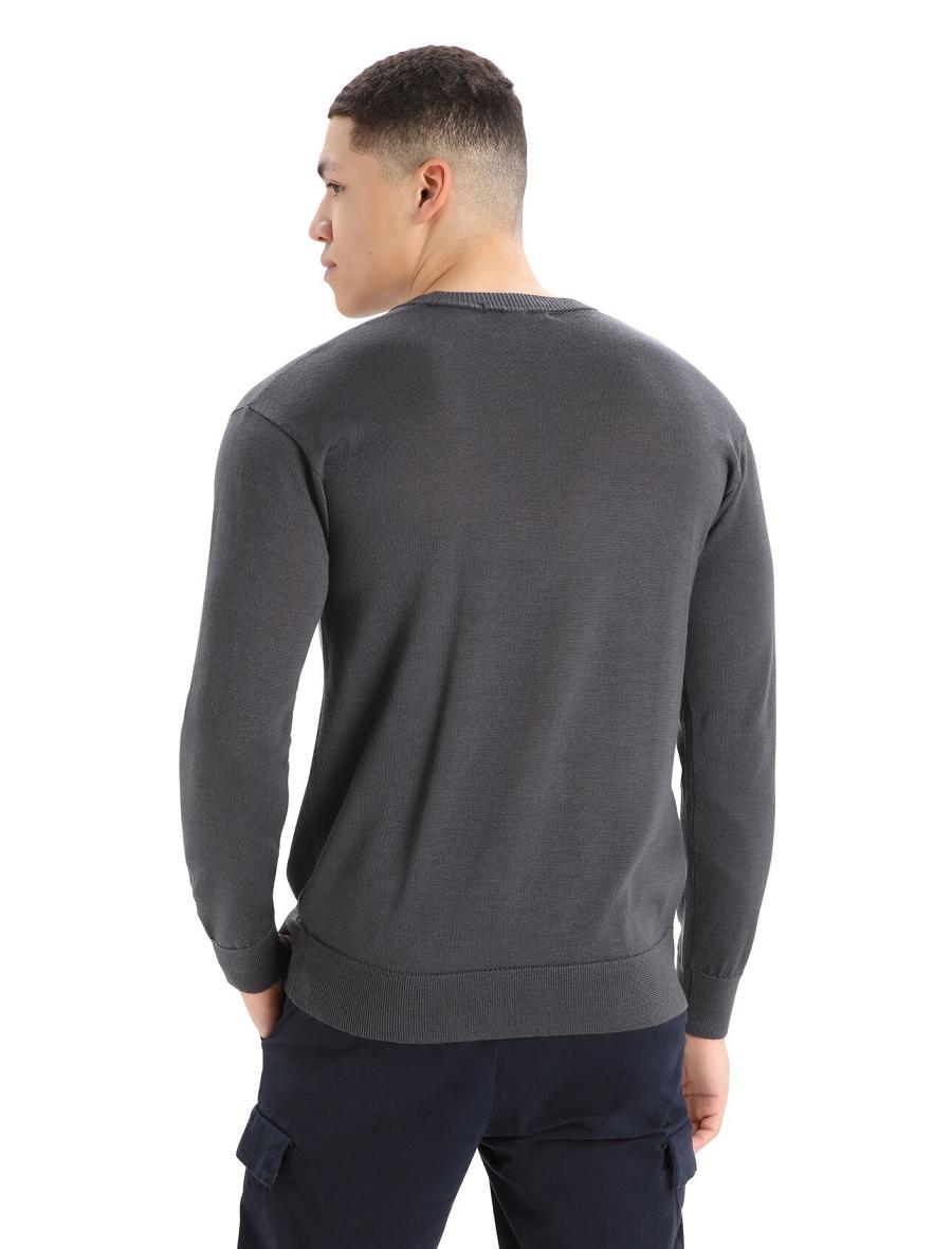 Swetry Icebreaker Cool-Lite™ Merino Nova Sweatshirt Męskie Srebrne Szare | PL 1731QMAZ